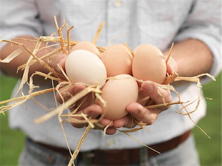 sustainable agriculture - Hands Holding Eggs Stock Photo - Premium Royalty-Free, Code: 649-02666630