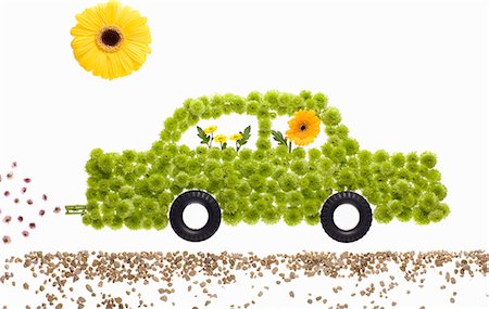 picture of opportunity for illustration - Une voiture faite de fleurs Photographie de stock - Premium Libres de Droits, Code: 649-03009254