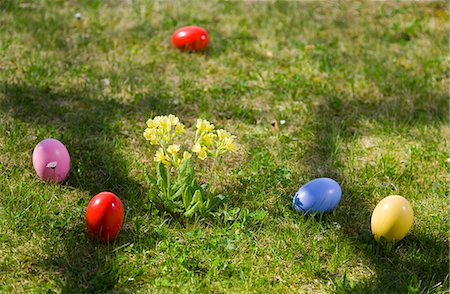 easter grass - easter eggs,spring flowers in grass Foto de stock - Royalty Free Premium, Número: 649-03009338