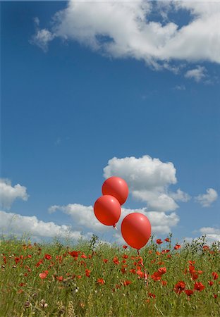 Red balloons in poppy field Stock Photo - Premium Royalty-Free, Code: 649-03077998