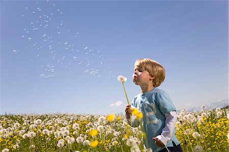 boy blowing dandelion seeds Stock Photo - Premium Royalty-Free, Code: 649-03078032