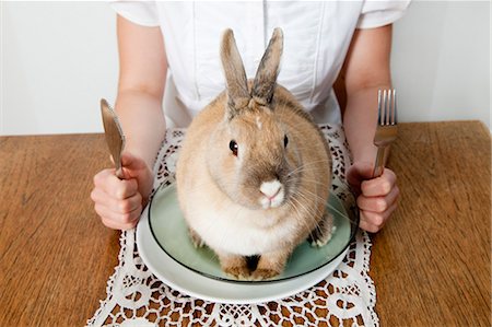 domestic rabbit - Rabbit sitting on a plate Stock Photo - Premium Royalty-Free, Code: 649-03078200