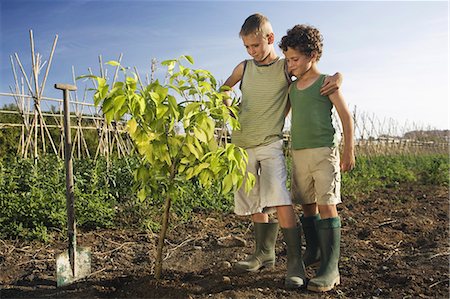 Two boys planting tree Stock Photo - Premium Royalty-Free, Code: 649-03078709