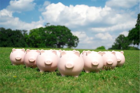 saving for a rainy day - pigs in a field Stock Photo - Premium Royalty-Free, Code: 649-03294414