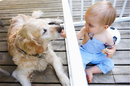 sanft - Jungen spielen mit dem Hund der Familie Stockbilder - Premium RF Lizenzfrei, Bildnummer: 649-03296415