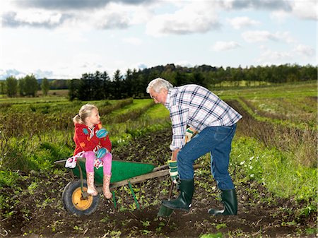 shoveling - Grandfather shoveling dirt Stock Photo - Premium Royalty-Free, Code: 649-03296689