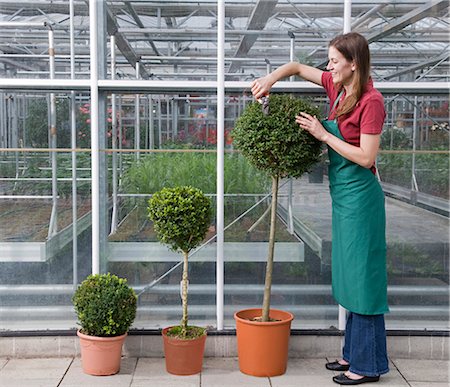 woman caring for plant Stock Photo - Premium Royalty-Free, Code: 649-03292758