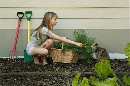 people playing with cats - Young woman showing cat flower Stock Photo - Premium Royalty-Free, Code: 649-03465660