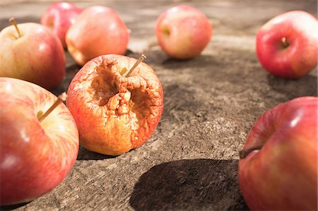 dried fruits - Rotten Apple Foto de stock - Sin royalties Premium, Código: 649-03487106