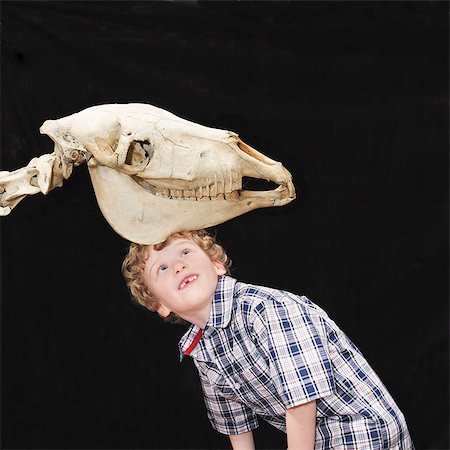 science kids - Boy looking at skeleton Stock Photo - Premium Royalty-Free, Code: 649-03565850