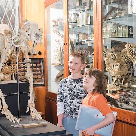 2 boys looking at tiger skeleton Fotografie stock - Premium Royalty-Free, Codice: 649-03565852