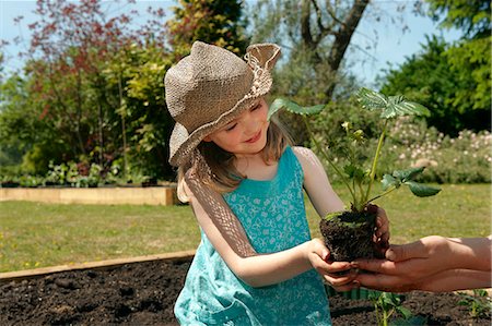 straw hat - Mother handing girl strawberry plant Stock Photo - Premium Royalty-Free, Code: 649-03565878