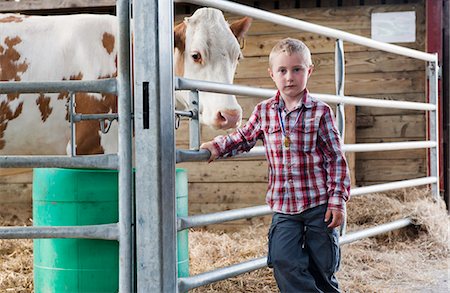 Boy with cow in barn Stock Photo - Premium Royalty-Free, Code: 649-03621828