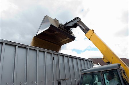 Loading grain into lorry Foto de stock - Sin royalties Premium, Código: 649-03622025