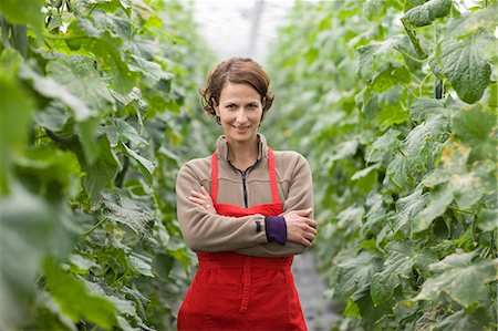 plant nursery - Farming vegetables and fruits Stock Photo - Premium Royalty-Free, Code: 649-03768983