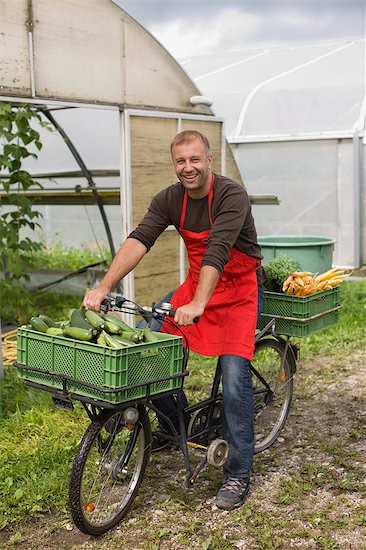 Farming vegetables and fruits Foto de stock - Sin royalties Premium, Código de la imagen: 649-03768994