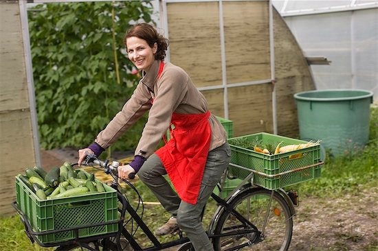 Farming vegetables and fruits Stock Photo - Premium Royalty-Free, Image code: 649-03768993