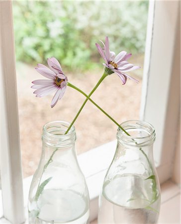 dos objetos - Two Flowers crossing over each other Foto de stock - Sin royalties Premium, Código: 649-03769420