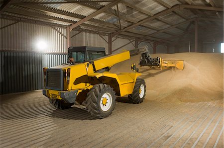 Forklift truck shoveling grain in store Foto de stock - Sin royalties Premium, Código: 649-03769714