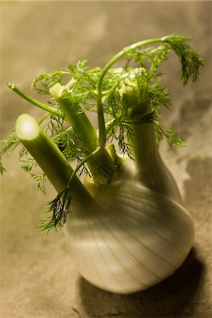 fenouil - Fenouil Photographie de stock - Premium Libres de Droits, Code: 649-03774655