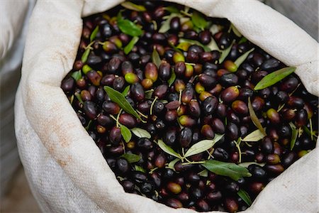 Sac rempli d'olives fraîches Photographie de stock - Premium Libres de Droits, Code: 649-03774710