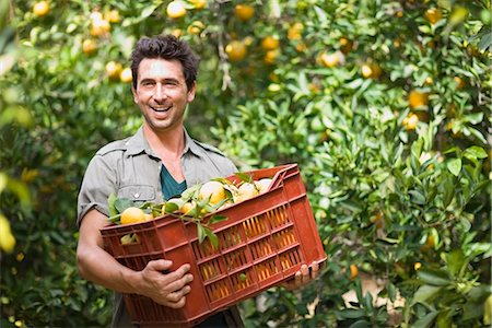 fruit farm - Man carrying a box with oranges Stock Photo - Premium Royalty-Free, Code: 649-03773059