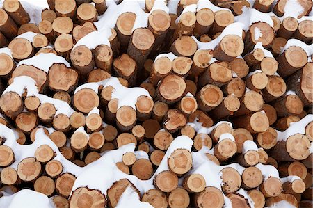 Snow covered sawn logs Foto de stock - Sin royalties Premium, Código: 649-03796946