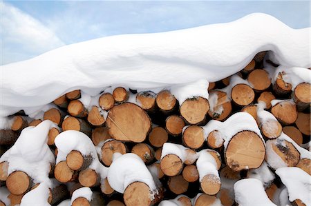suecia - Snow covered sawn logs Foto de stock - Sin royalties Premium, Código: 649-03796947