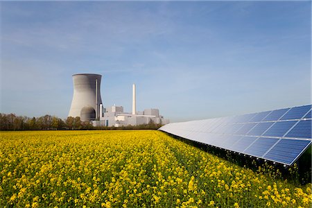 flower contrast - Solar plant and atomic power station Stock Photo - Premium Royalty-Free, Code: 649-03857794