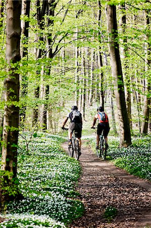 Couple mountain biking together Stock Photo - Premium Royalty-Free, Code: 649-03884364