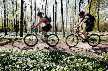 flowering trees and path - Couple mountain biking together Stock Photo - Premium Royalty-Free, Code: 649-03884366