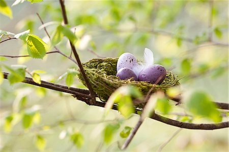 easter in green color - Speckled eggs in bird's nest Stock Photo - Premium Royalty-Free, Code: 649-03883909