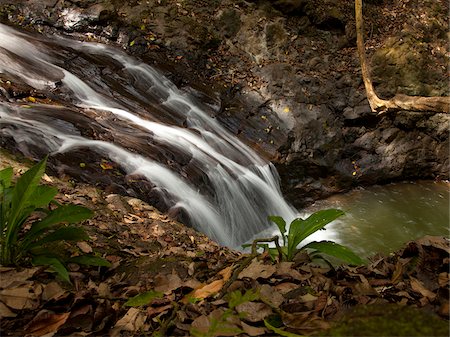 Costa Rica, Fast flowing waterfall Stock Photo - Premium Royalty-Free, Code: 640-05761177