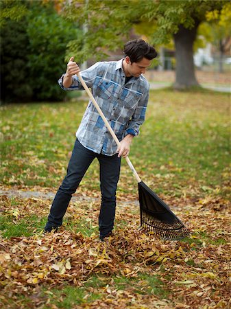 provo (utah) - USA, Utah, Provo, Young man raking leaves in garden Stock Photo - Premium Royalty-Free, Code: 640-05761184
