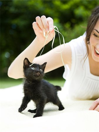 people playing with cats - USA, Utah, Orem, Woman playing with kitten Stock Photo - Premium Royalty-Free, Code: 640-05761407