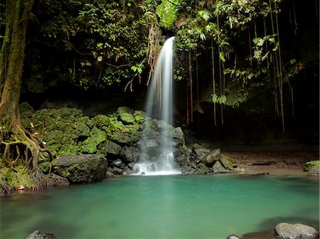 Dominique, Emerald Falls, petite chute d'eau à la piscine de la forêt Photographie de stock - Premium Libres de Droits, Code: 640-06050774