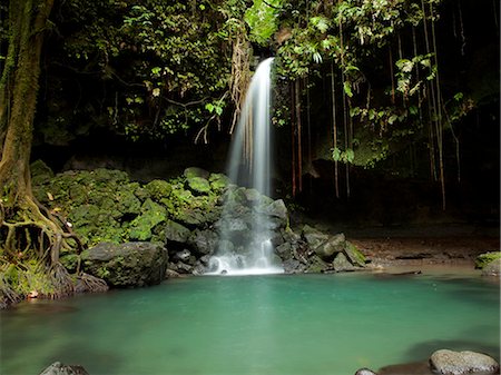 dominica - Dominica, Emerald Falls, kleiner Wasserfall im Wald-pool Stockbilder - Premium RF Lizenzfrei, Bildnummer: 640-06050774