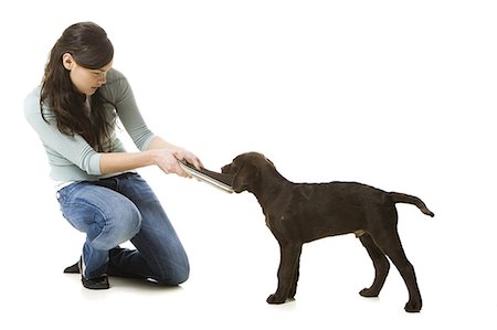 simsearch:640-06050836,k - young woman with a brown puppy Stock Photo - Premium Royalty-Free, Code: 640-06051026