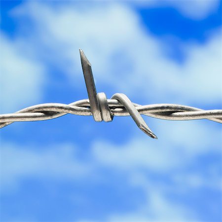 barbed wire Stock Photo - Premium Royalty-Free, Code: 640-06051135