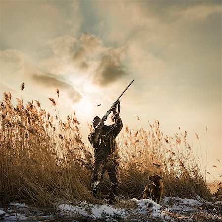 man and his dog duck hunting Foto de stock - Sin royalties Premium, Código: 640-06051655