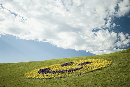 smiley - Affichage floral bonhomme sourire Photographie de stock - Premium Libres de Droits, Code: 640-01349594