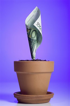 simsearch:400-06860365,k - A one hundred Euro banknote growing in a flower pot Stock Photo - Premium Royalty-Free, Code: 640-01354965