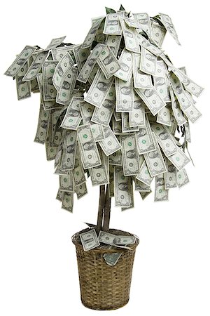 simsearch:614-07194728,k - Close-up of dollar bills on a money tree Stock Photo - Premium Royalty-Free, Code: 640-01356471