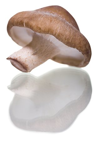simsearch:640-01359144,k - Gros plan d'un champignon Photographie de stock - Premium Libres de Droits, Code: 640-01357064