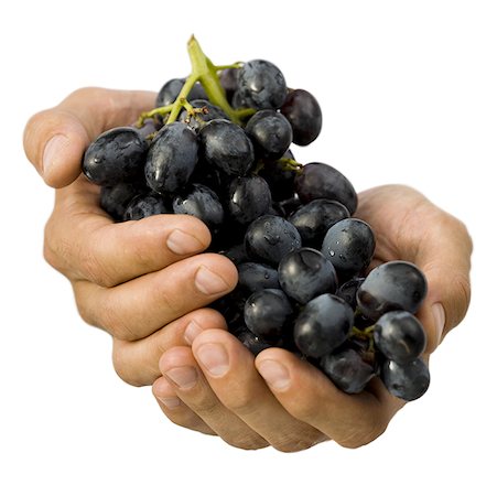 Gros plan des mains tenant une grappe de raisin Photographie de stock - Premium Libres de Droits, Code: 640-01357606