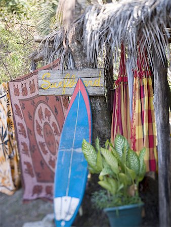 Surfboard against a tree Stock Photo - Premium Royalty-Free, Code: 640-01357668