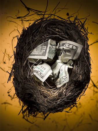 five dollar bill - Close-up of paper currency in a bird's nest Stock Photo - Premium Royalty-Free, Code: 640-01359468