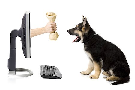 silhouettes man and dog - Hand with bone in monitor with German shepherd puppy Stock Photo - Premium Royalty-Free, Code: 640-01359526
