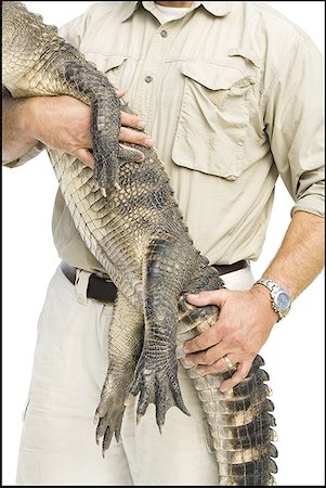 Animal handler with alligator Stock Photo - Premium Royalty-Free, Code: 640-01350051