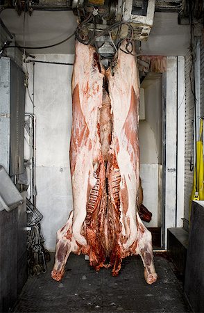 res muerta - Hanging carcass of large animal Foto de stock - Sin royalties Premium, Código: 640-01350669